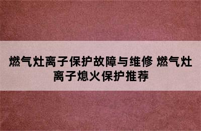 燃气灶离子保护故障与维修 燃气灶离子熄火保护推荐